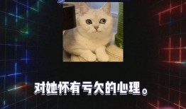 吃瓜娱乐圈八卦778,揭秘明星幕后故事，揭秘娱乐圈真相！