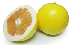 柚子君爆料真假视频大全