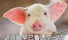 养猪导演爆料视频大全下载,养猪幕后爆料视频大合集下载全解析