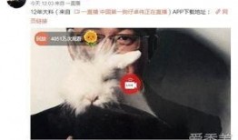 石家庄出轨爆料事件最新,最新爆料揭露惊人真相