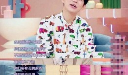 是谁爆料何炅事件啊视频,真相背后谁在暗中操控？