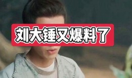 刘大锤爆料抒情视频,情感波涛下的真实心声