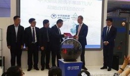 新疆最新消息爆料新闻网,揭秘新疆最新爆料，热点事件一网打尽！