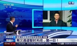 新闻1 1在线观看,深度解析时事热点