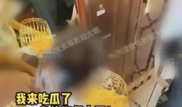 今天刘大锤最新爆料视频,今日热点事件深度剖析