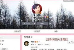 卓伟爆料刘涛是哪一集视频,揭秘明星背后的真相，哪一集视频揭露惊人内幕？