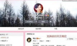 卓伟爆料刘涛是哪一集视频,揭秘明星背后的真相，哪一集视频揭露惊人内幕？