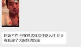 爆料赖弘国视频,揭秘背后惊人真相