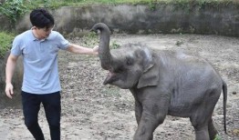 杭州动物园爆料新闻最新,神秘动物亮相，揭秘背后故事