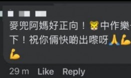 香港生活爆料视频播放大全,视频大全精彩瞬间回顾
