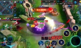 国服小鲁班爆料视频下载