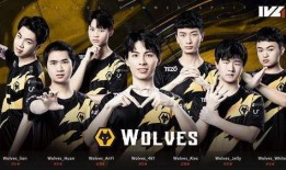 狼队圈内爆料视频大全,独家幕后故事全收录