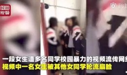 秃崽被爆料视频大全,揭秘娱乐圈不为人知的幕后真相