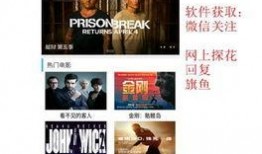 杨爸爆料的视频是啥软件,神秘软件打造震撼视听效果