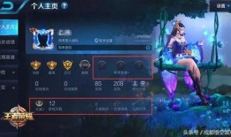 王者之隐最新爆料视频,揭秘最新爆料视频中的神秘元素与精彩瞬间