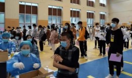 枫丹双子最新爆料消息