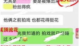 娱乐吃瓜大ip资源,吃瓜大事件背后的秘密与真相