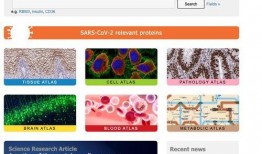 摩德纳病毒爆料视频大全