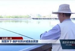 德阳爆料王最新信息,揭秘XX事件背后真相！