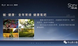 最新解斑平a爆料,揭秘神奇祛斑成分与神奇效果