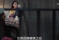 关于大爆料的小视频短片,大爆料背后的秘密大公开