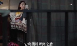 关于大爆料的小视频短片,大爆料背后的秘密大公开