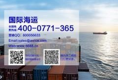 美国海运爆料视频大全最新,最新爆料视频大全深度解析