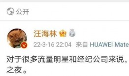 爆料娱乐圈的西瓜视频