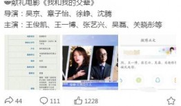 王小盒导演爆料视频大全,揭秘幕后故事与创作心路