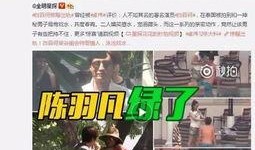 二八事件爆料视频下载,视频爆料背后的真相与影响