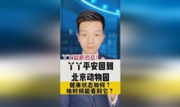 丫丫最新爆料,揭秘娱乐圈惊人内幕