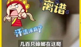 吃瓜唐十八免费阅读,揭秘宫廷秘闻，免费畅读宫廷风云录