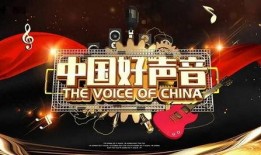 好声音薛之谦爆料视频完整版,完整版爆料视频深度解析