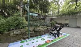 杭州动物园爆料新闻最新,神秘动物亮相，揭秘背后故事