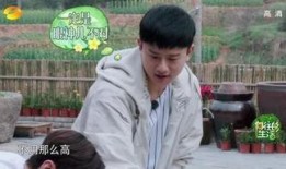 娱记最新爆料张杰是哪一期,张杰加盟哪一期节目引发热议