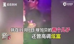 炫富儿子爆料视频大全,揭秘豪门家族奢华生活