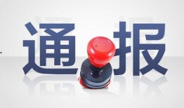 新乡头条最新爆料,重大事件背后真相揭秘！”