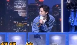 王小盒导演爆料视频大全,揭秘幕后故事与创作心路