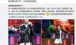 王小盒导演爆料视频大全,揭秘幕后故事与创作心路