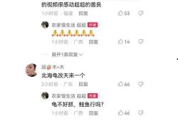 二八事件爆料视频下载,视频爆料背后的真相与影响