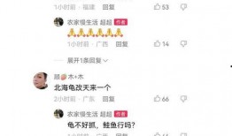 二八事件爆料视频下载,视频爆料背后的真相与影响