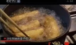 犹太沙拉爆料视频在线观看,独家爆料视频在线观看，一探究竟