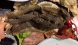 生蚝自助餐爆料视频大全