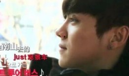 归国四子采访爆料视频全集,幕后故事与心路历程全记录