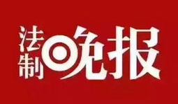 2023广佛新闻爆料,2023年最新爆料聚焦！