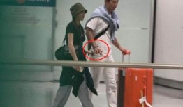 娱乐圈爆料何超莲,豪门千金与娱乐圈小生的甜蜜邂逅