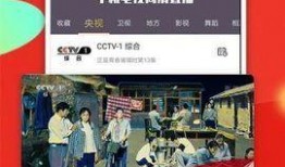 爆料老赖新闻视频播放下载,视频播放下载背后的惊人真相