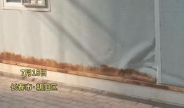 长春核酸最新爆料