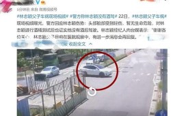 林志颖车祸爆料视频,惊险瞬间引发网友热议