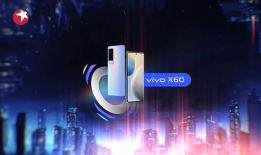 芬迪合伙人爆料视频大全